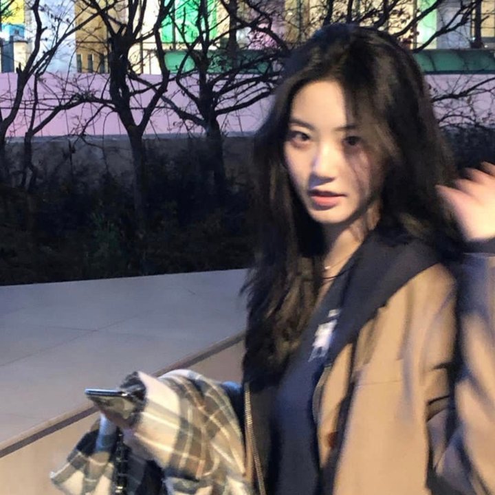 断线森林2